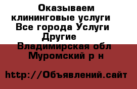 Оказываем клининговые услуги! - Все города Услуги » Другие   . Владимирская обл.,Муромский р-н